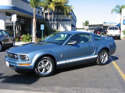 Stang1.jpg