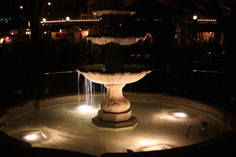 IMG9557-L.jpg