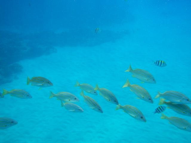 DSCN0807.jpg