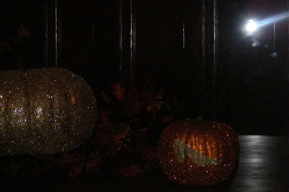 DSCF1165.jpg