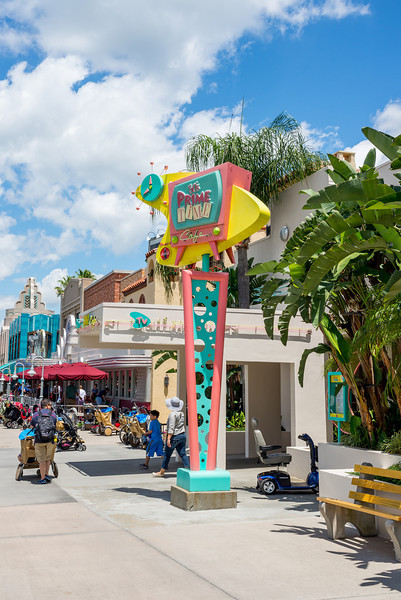DSC_3916-L.jpg
