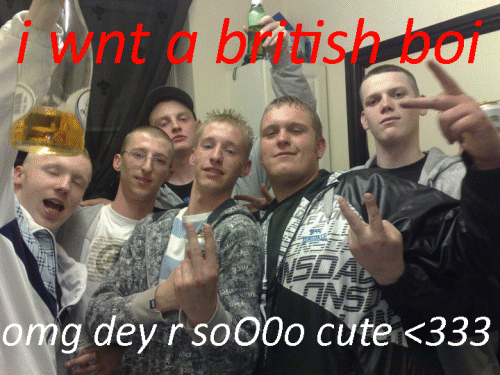 tumblr_llprxnNw7K1qci6hwo1_500.gif