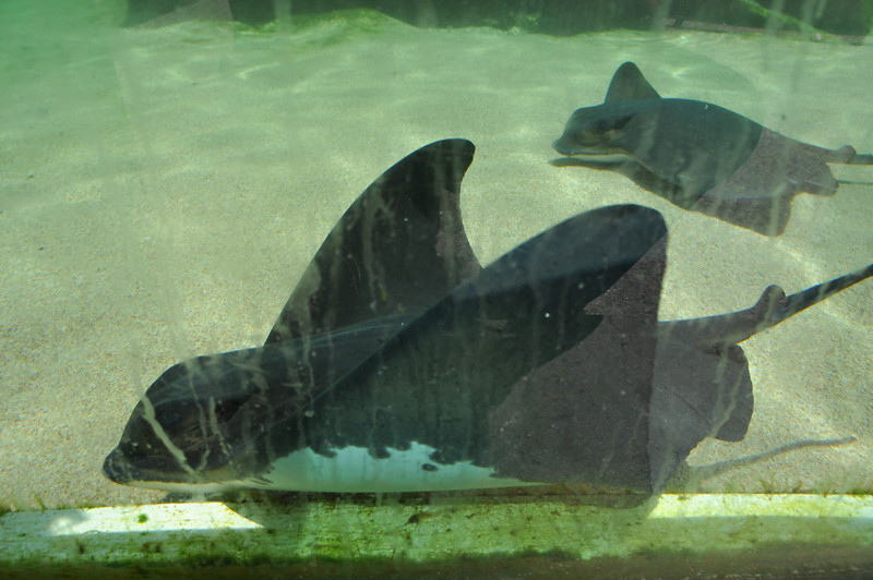 600354327_TNRZ2-L.jpg