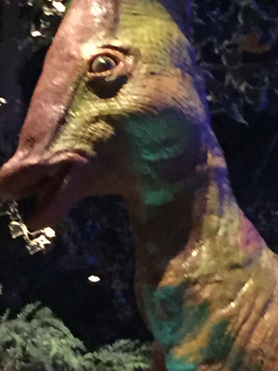 t_des_dino.jpg