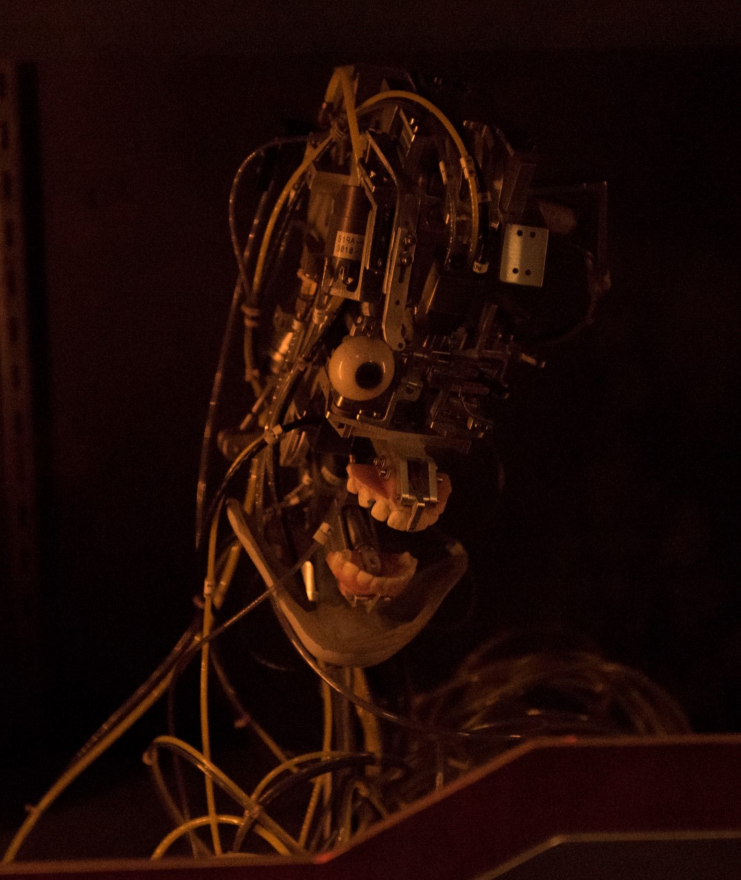 DSC_3021%20(Large).jpg