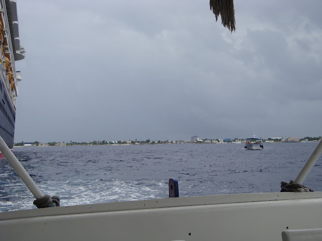 DSC00424.jpg