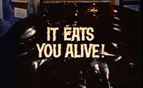 tumblr_nr5yxhKpOm1s9bqq4o1_500.gif