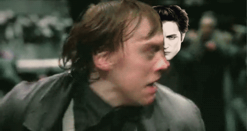 tumblr_lq9ptkkOjY1qkk916o1_500.gif