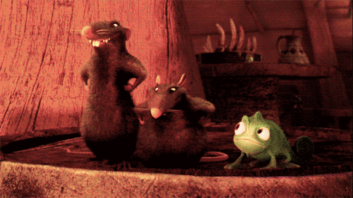 tumblr_lq7u58cPus1r0tnleo1_500.gif