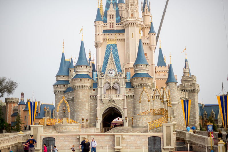 DSC_6462-L.jpg