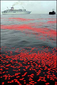 _40239103_poppies300.jpg