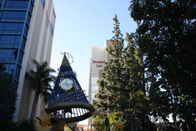 IMG0240-L.jpg