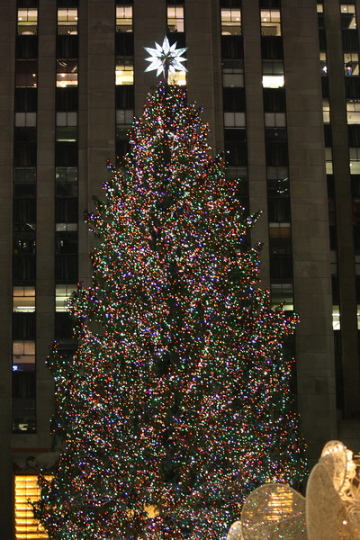 IMG_9479-L.jpg