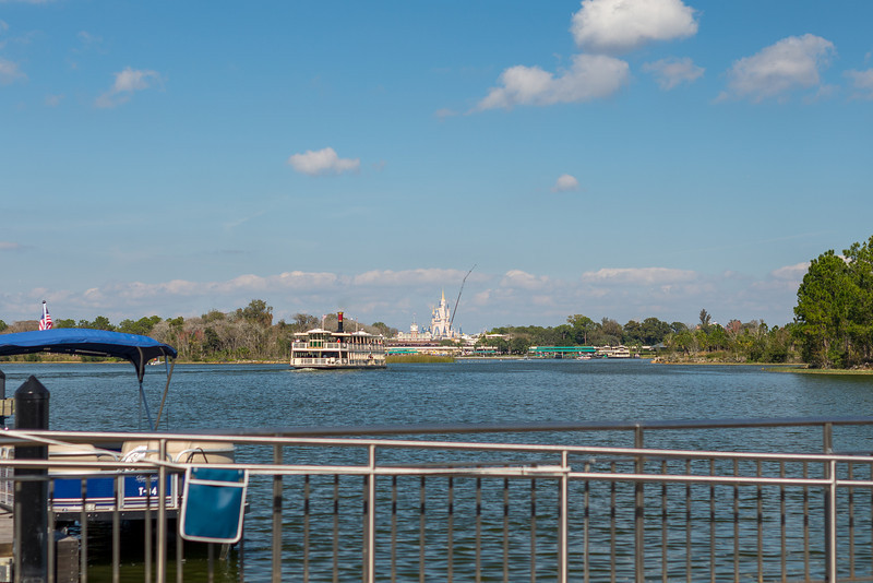 DSC_5681-L.jpg