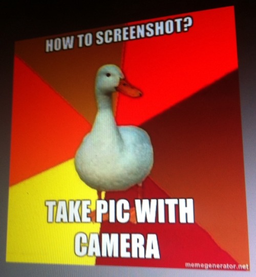tumblr_lpy6d7gKdt1qe11kdo1_500.jpg