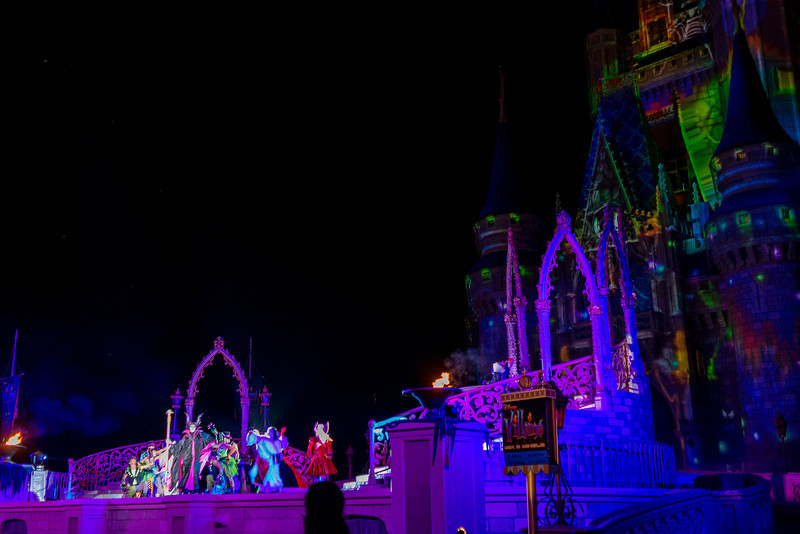 DSC_0797-L.jpg