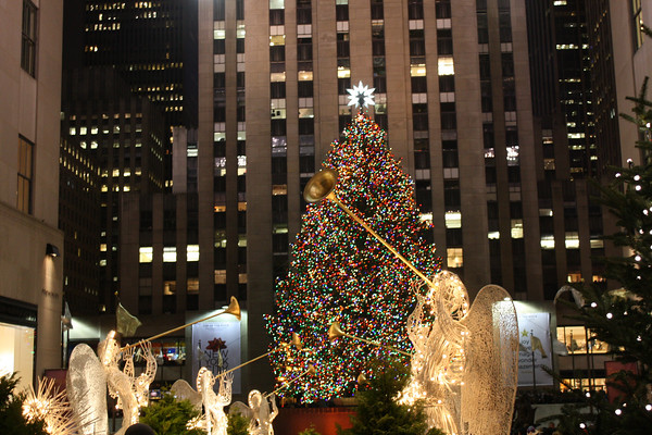 1122747605_XavWF-M.jpg