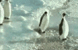 ewHSMEx2TtEo8.gif