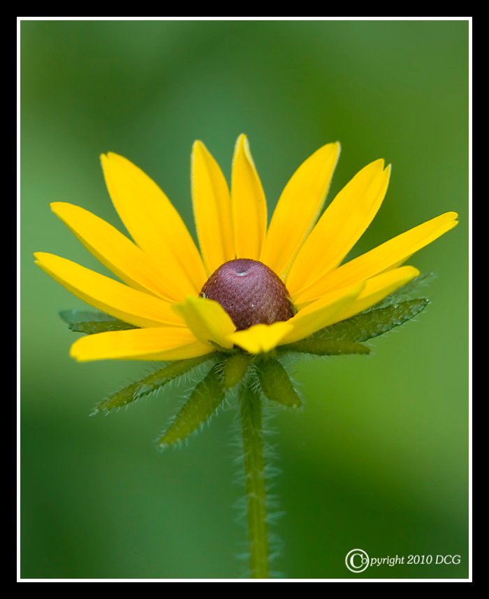 920399872_jCNZ3-X2.jpg