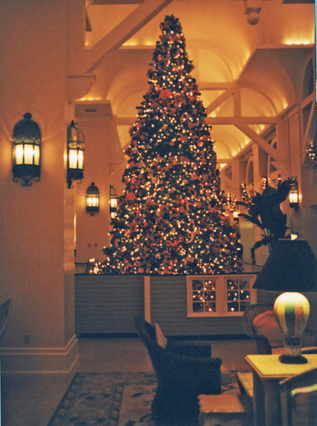 Untitled-61ed-L.jpg