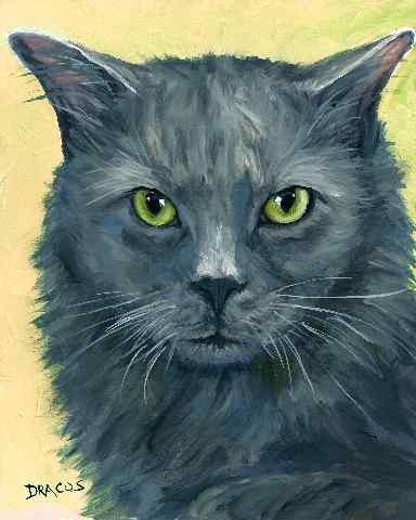 a3f34503f9cc7b85f6d9c96d1ed53c15--grey-cats-black-cats.jpg