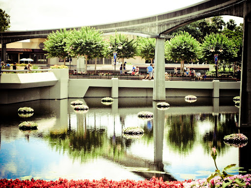wdw-3191.jpg