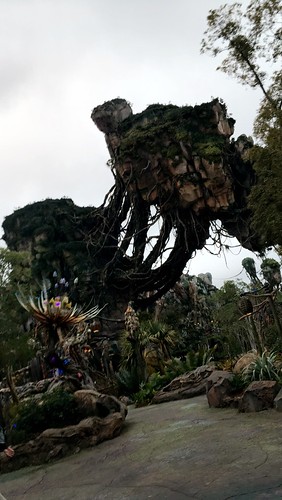 40771707664_d83c6d4403.jpg
