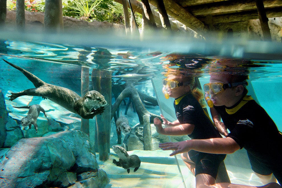 p-Freshwater-Oasis-2-1-_54_990x660.jpg