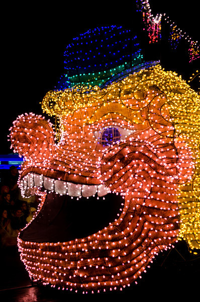 DSC1645-L.jpg