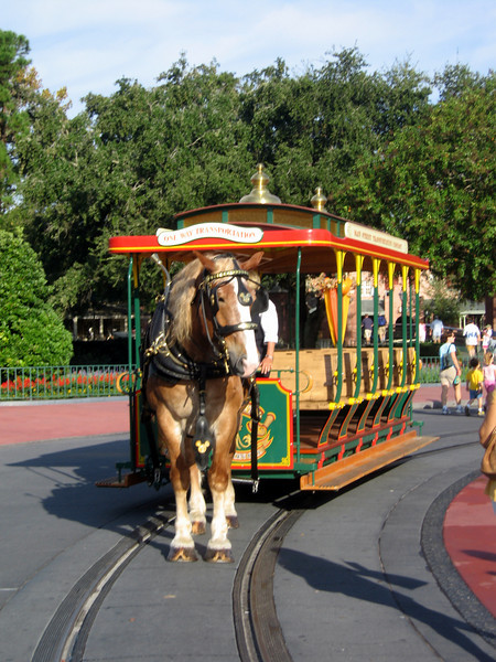 WDW%20064-L.jpg