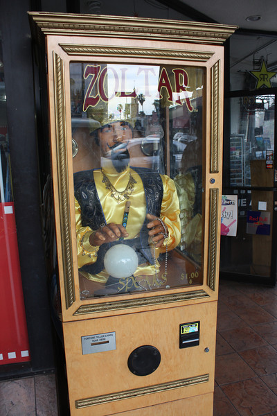 IMG0869-L.jpg