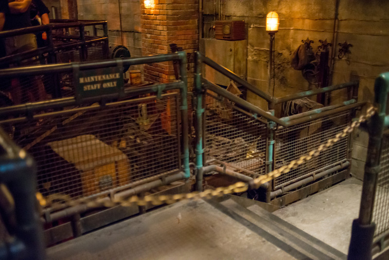 DSC_3898-L.jpg