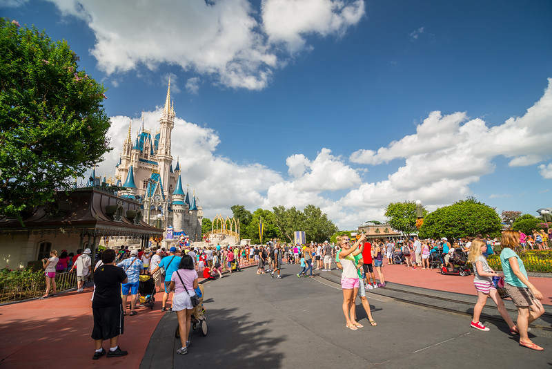 DSC_0585-L.jpg