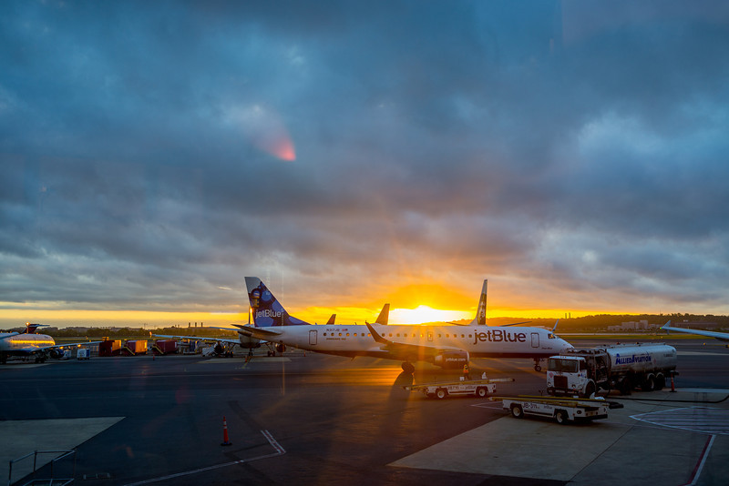 DSC_2027-L.jpg