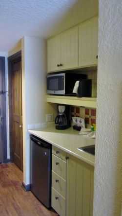 villas-at-wilderness-lodge-studio-6t.jpg