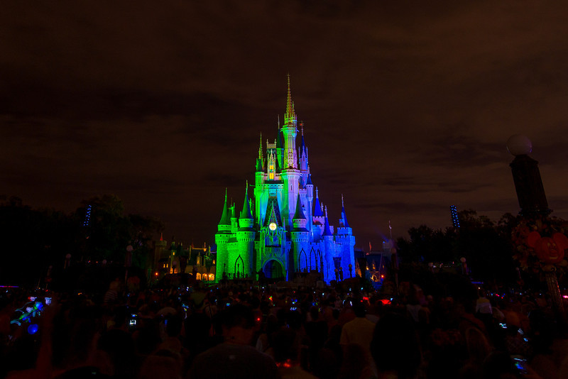 DSC_0818-L.jpg