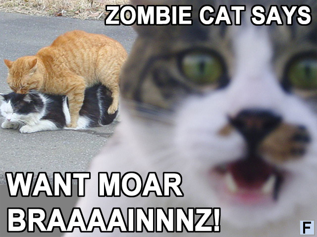 zombie_cat.jpg