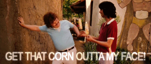 tumblr_lre8l2MD6R1qe28dbo1_500.gif