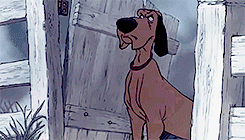 tumblr_n8y11gwlBT1rg6i70o4_r1_250.gif