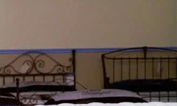 tumblr_licm6psqOl1qfqqyf.gif
