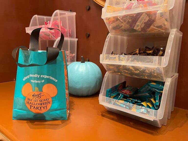 0822-mnsshp-allergy-bag-768x576.jpg