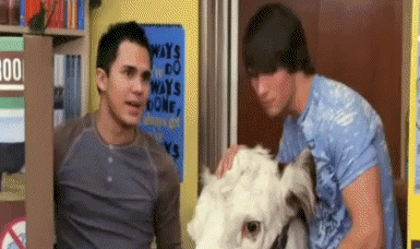 tumblr_lkabjiDJmn1qe180do1_400.gif