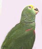 52973354_b479c97808_t.jpg