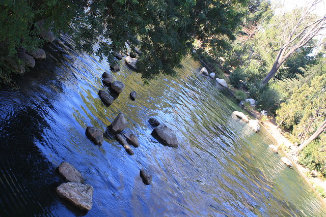 24222159435_2a34aa1347_z.jpg