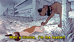 tumblr_n8y11gwlBT1rg6i70o2_250.gif