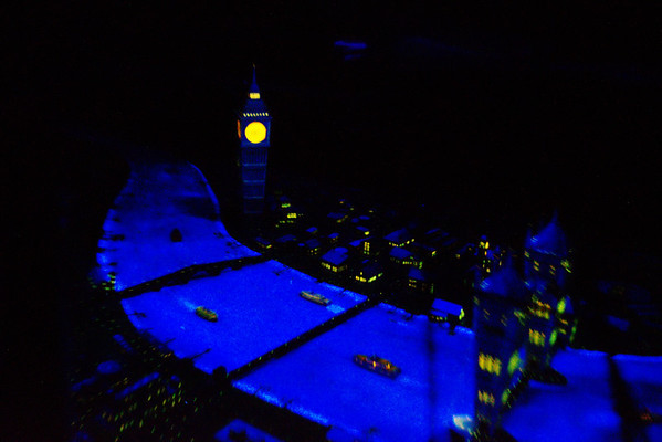 DSC7019-M.jpg