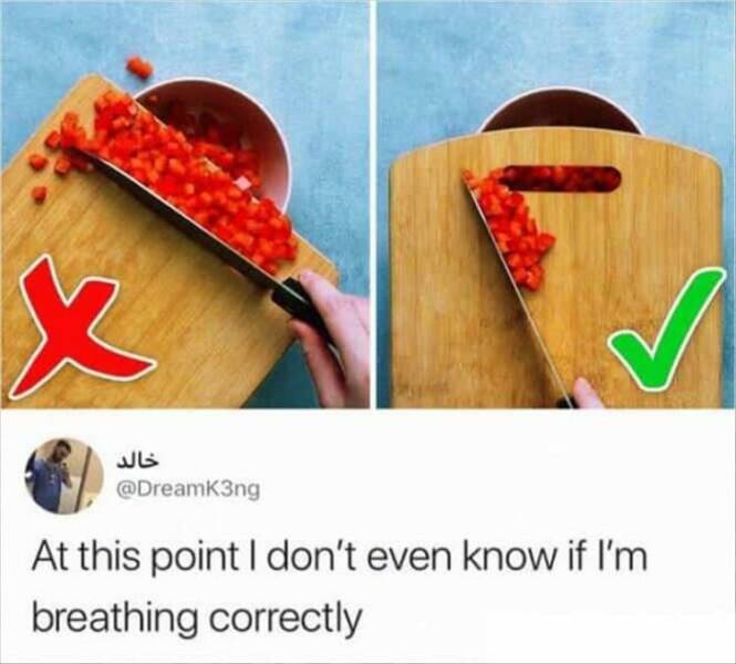 1682398796_fn_18.jpg