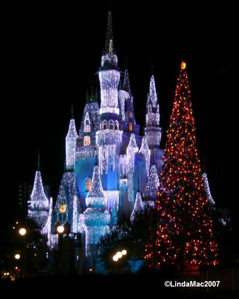 xmas07_ice.jpg