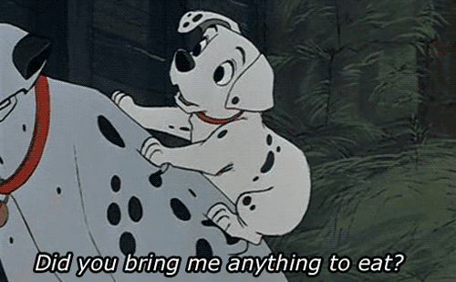 tumblr_lzp1am6CNz1rpl3bro1_500.gif