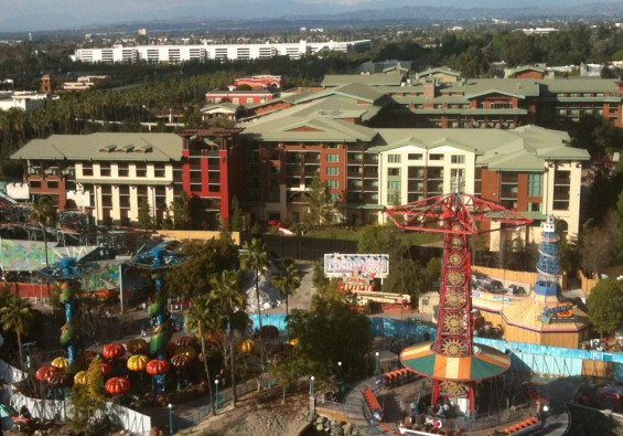 img_0794-565x395.jpg